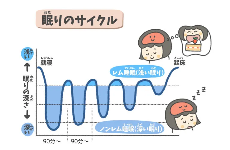 レム睡眠とノンレム睡眠